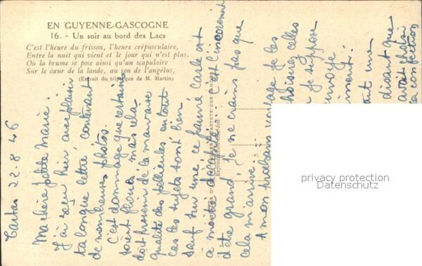 Hirte Schafe Guyenne-Gascogne soir au bord de – Bild 2