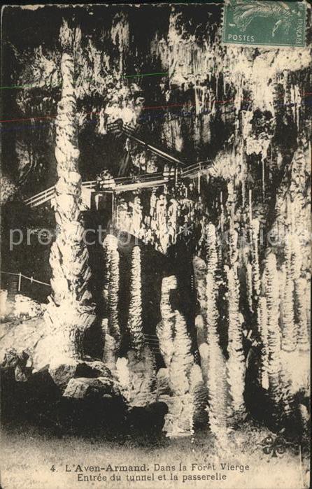 Hoehlen Caves Grottes L'Aven-Armand Foret Vierge