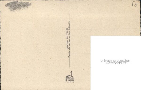 Rosen – Bild 2