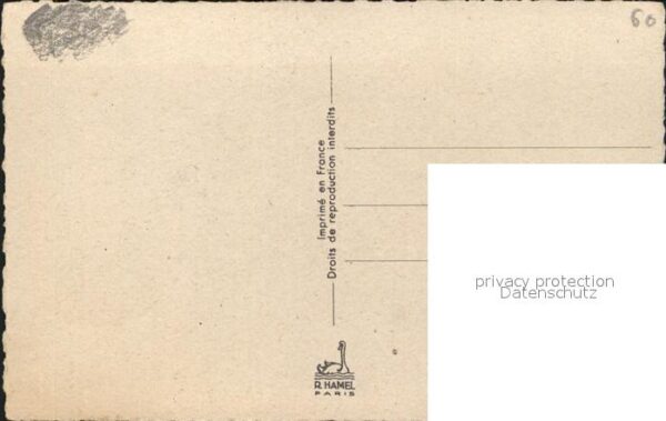 Hufeisen Blumen – Bild 2