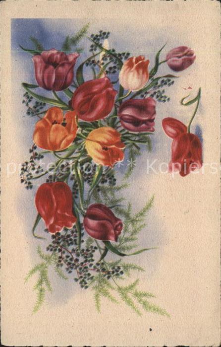 Blumen Tulpen