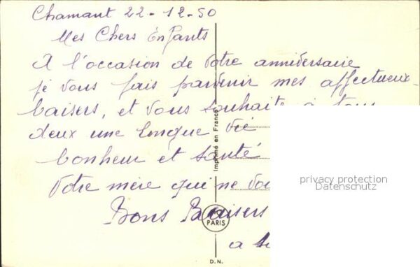 Rosen Hufeisen Anniversaire – Bild 2
