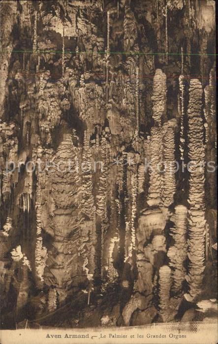 Hoehlen Caves Grottes Aven Armand Palmier et les Grandes Orgu