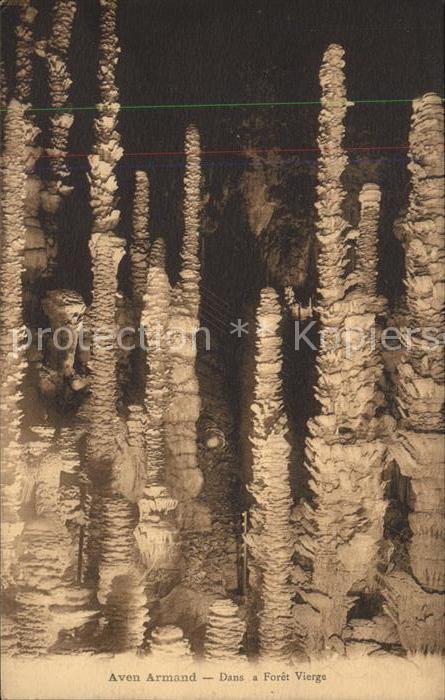 Hoehlen Caves Grottes Aven Armand Foret Vierge