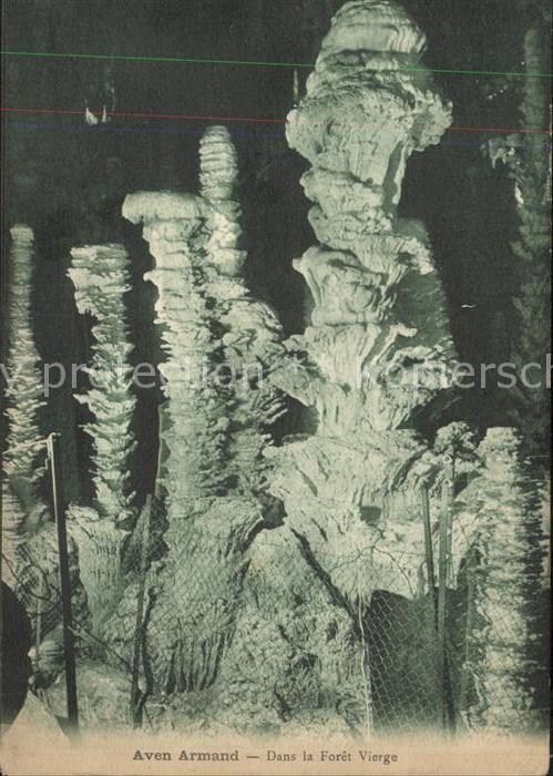 Hoehlen Caves Grottes Aven Armand Foret Vierge