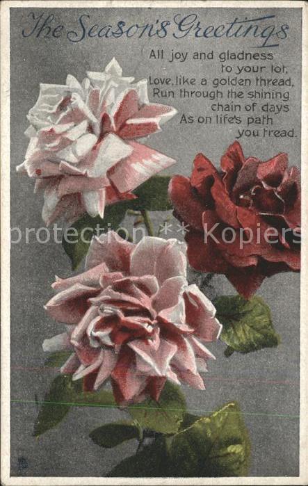 Verlag Tucks Oilette Nr. C 7491 Gem-Postcard Rosen Gedicht