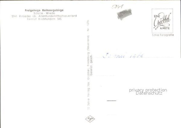 Hirsch Freigehege Rothaargebirge Rinsecke Hoch – Bild 2