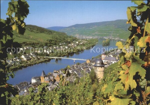 Zell Mosel Panorama
