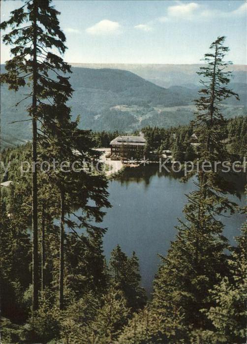 Mummelsee Panorama