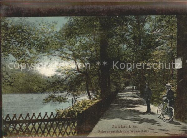 Zwickau Sachsen Schwanenteich am Wasserfall
