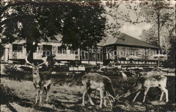 Braunfels Forsthaus im Tiergarten Wildgehege
