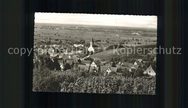Auggen Panorama