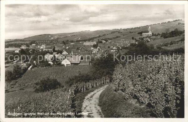 Auggen Panorama