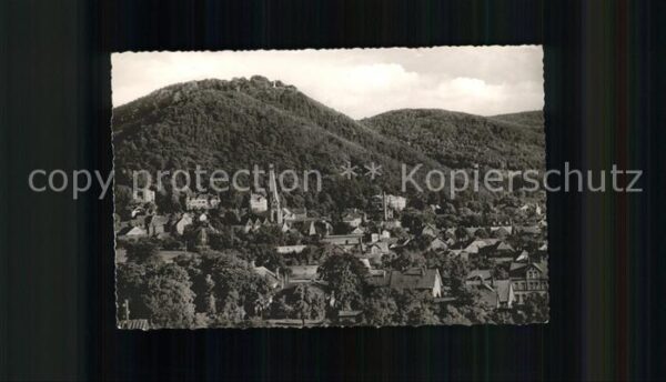 Bad Harzburg Gesamtansicht