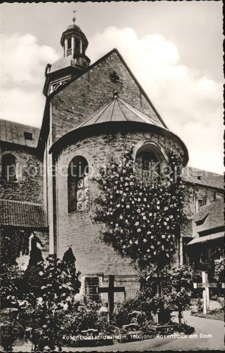 Hildesheim 1000jähriger Rosenstock am Dom