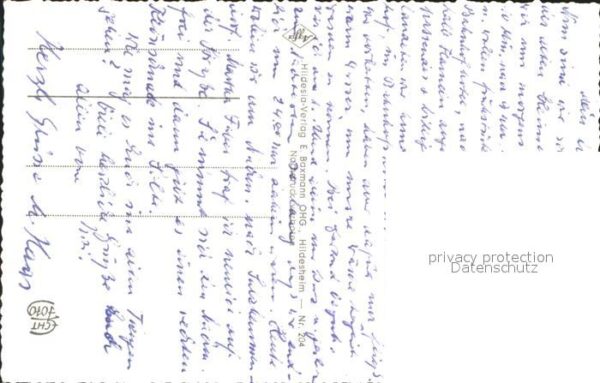Hildesheim 1000jähriger Rosenstock am Dom – Bild 2