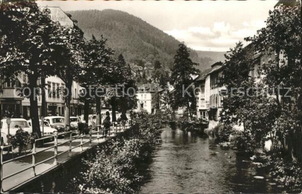 Wildbad Schwarzwald Enzpartie