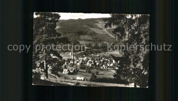 Neustadt Schwarzwald Totalansicht