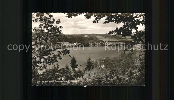 Titisee Seepanorama