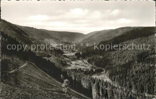 Wildbad Schwarzwald Enztal
