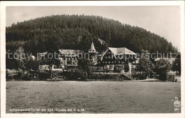 Titisee-Neustadt Schwarzwaldhotel am See