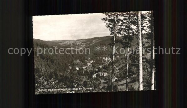 Triberg Schwarzwald mit Schonach Blick