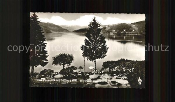 Titisee Seepanorama