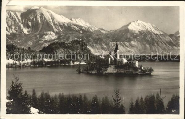 Bled Letovisce Bled in Karavanke Insel Bergp