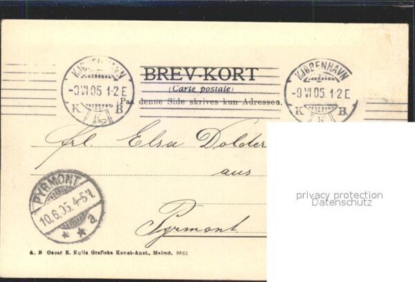 Kobenhavn National Pferd – Bild 2