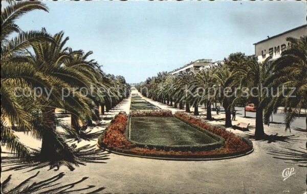 Fes Avenue Hassan II vers l'Empire Palmiers