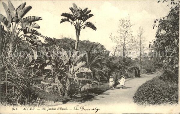 Alger Algerien Jardin d_Essai