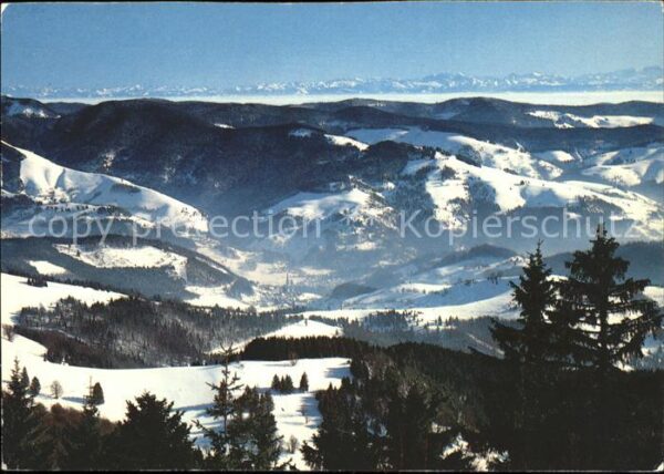 Belchen Baden Winterpanorama mit Alpenblick