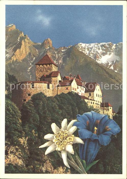 Vaduz Schloss mit Alpenblick Enzian Edelweiss