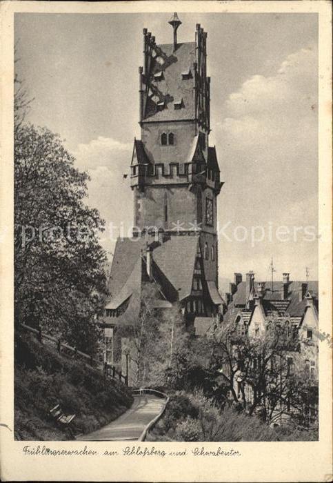 Freiburg Breisgau Frühlingserwachen am Schlossberg und Sc