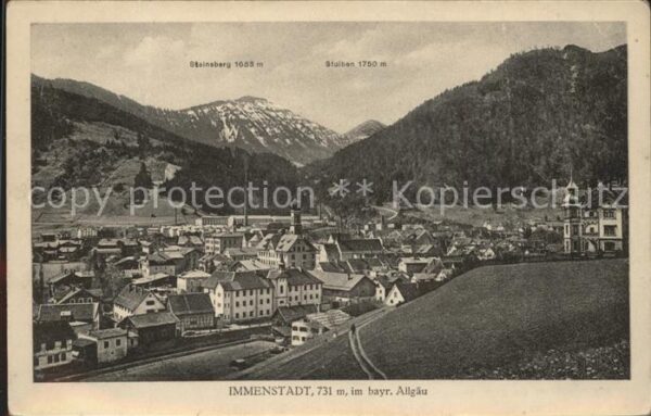 Immenstadt Allgaeu Gesamtansicht mit Alpenpanorama