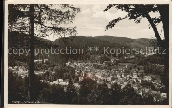 Triberg Panorama
