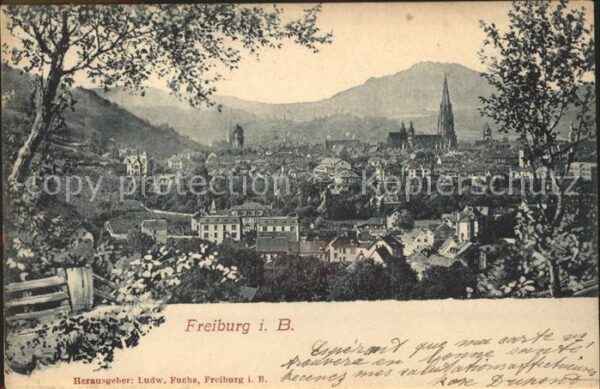 Freiburg Breisgau Stadtbild Münster Schwarzwald