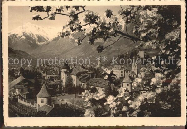 Merano Meran Panorama mit Alpen Baumblüte