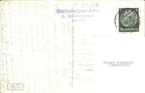 Birkenstein Schwaigeralm Kühe – Bild 2