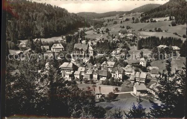 Todtmoos Hochschwarzwald Häuslehaide