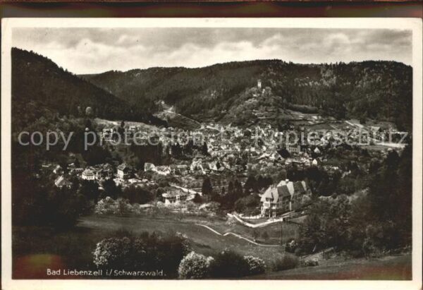 Bad Liebenzell Panorama