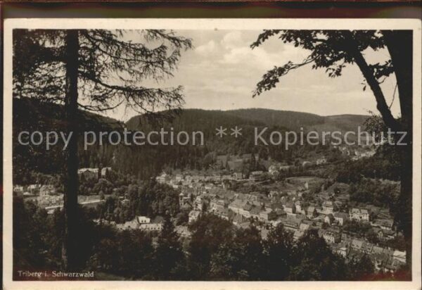 Triberg Panorama