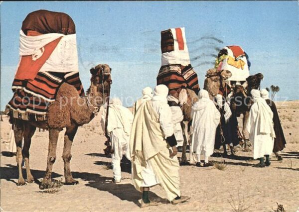 Hammamet Mariage traditionnel dans le desert Kam