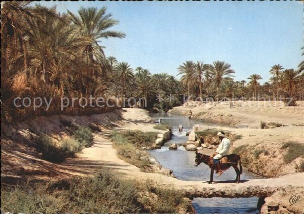 Tozeur Palmeraie Pont de palmier sur l'Oued Es