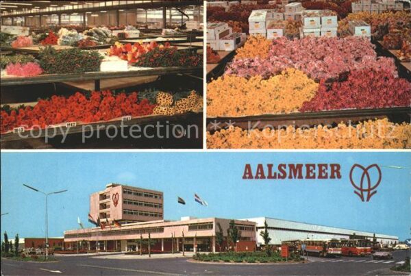 Aalsmeer Flower Market Blumenmarkt