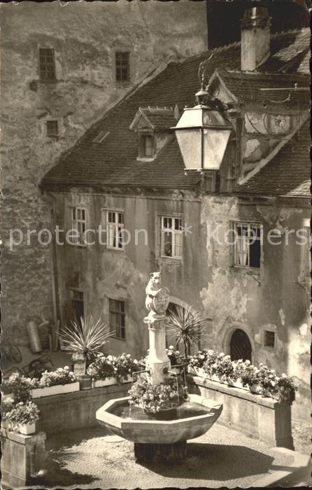 Meersburg Bodensee Bärenbrunnen