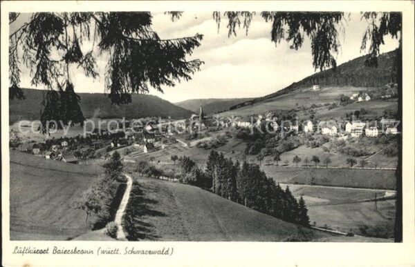 Baiersbronn Schwarzwald Luftkurort