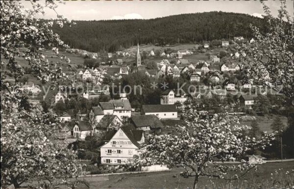 Baiersbronn Schwarzwald