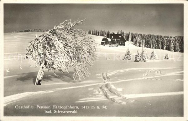 Bernau Schwarzwald Gasthof-Pension Herzogenhorn