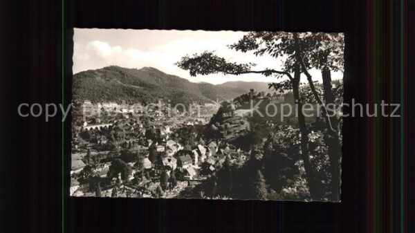 Hornberg Schwarzwald Schloss Viadukt